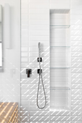 EREZ SHANI ARCHITECTURE ארז שני אדריכלות