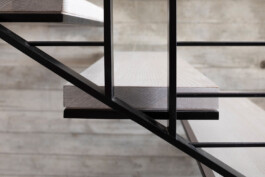 EREZ SHANI ARCHITECTURE ארז שני אדריכלות