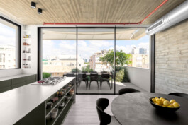 EREZ SHANI ARCHITECTURE ארז שני אדריכלות