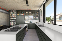 EREZ SHANI ARCHITECTURE ארז שני אדריכלות