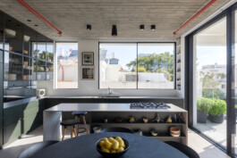EREZ SHANI ARCHITECTURE ארז שני אדריכלות