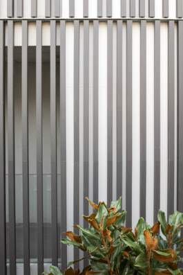 EREZ SHANI ARCHITECTURE ארז שני אדריכלות