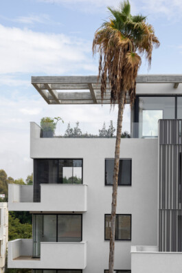 EREZ SHANI ARCHITECTURE ארז שני אדריכלות