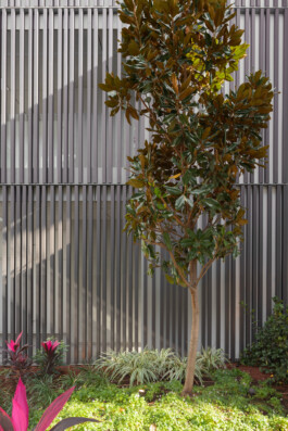 EREZ SHANI ARCHITECTURE ארז שני אדריכלות