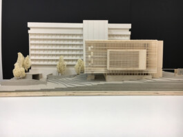 EREZ SHANI ARCHITECTURE ארז שני אדריכלות