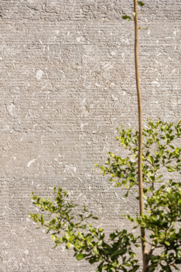 EREZ SHANI ARCHITECTURE ארז שני אדריכלות