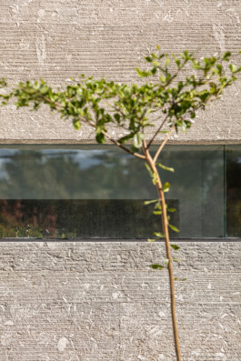 EREZ SHANI ARCHITECTURE ארז שני אדריכלות