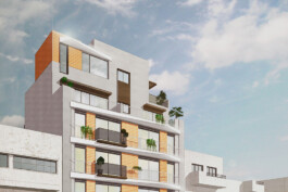 EREZ SHANI ARCHITECTURE ארז שני אדריכלות